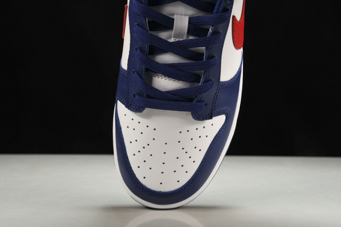nike dunk low usa dd1503-119