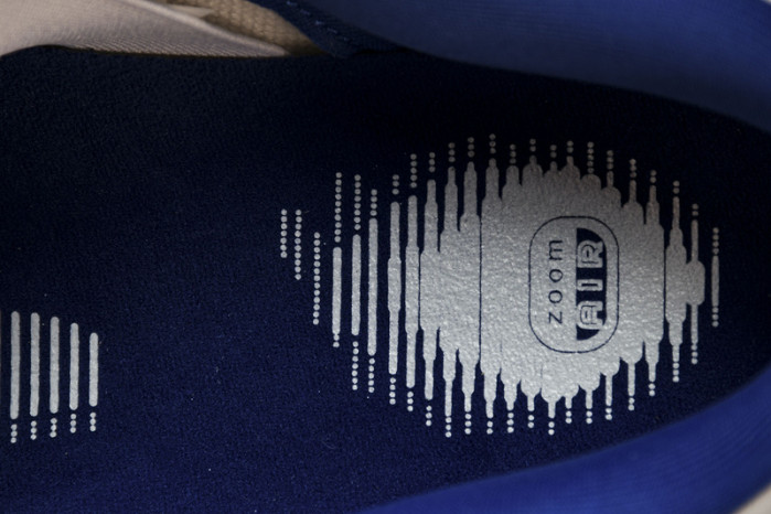 nike sb dunk low pro 