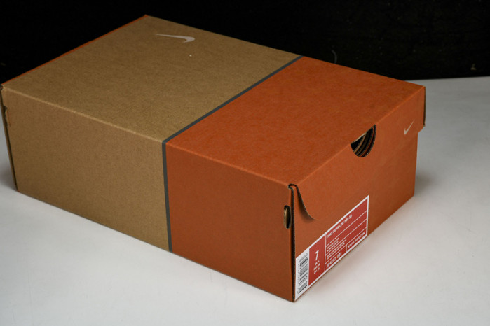 nike sb dunk low pro 