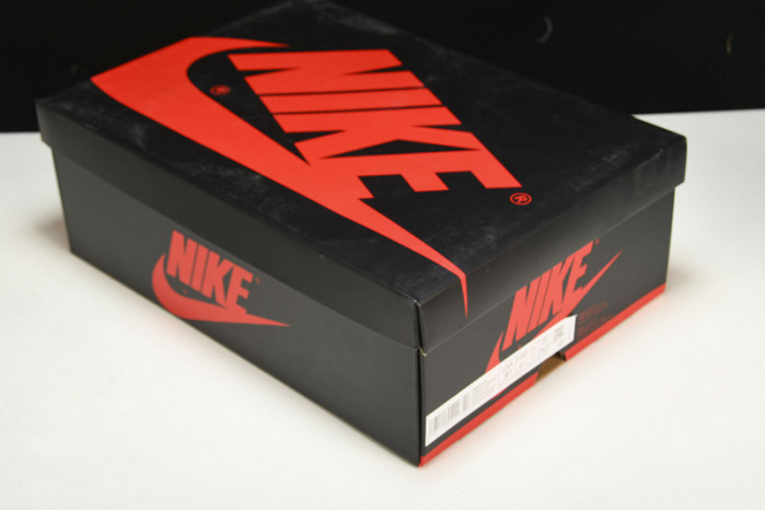 air jordan 1 high og wmns “twist 2.0” dz2523-001