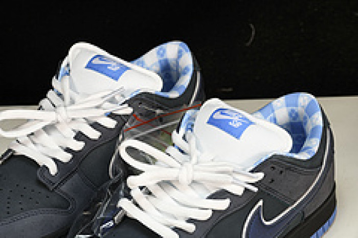 nike dunk sb low blue lobster 313170-342