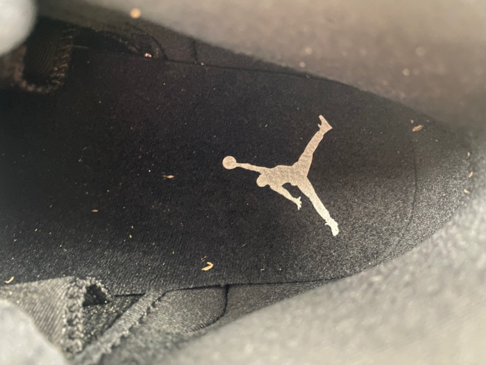 air jordan 12 black wolf grey ct8013-010